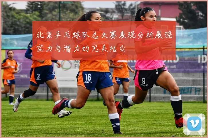 北京乒乓球队总决赛表现分析展现实力与潜力的完美结合